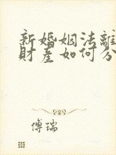 新婚姻法离婚后财产如何分配