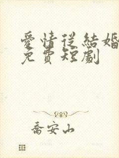 爱情从结婚开始免费短剧