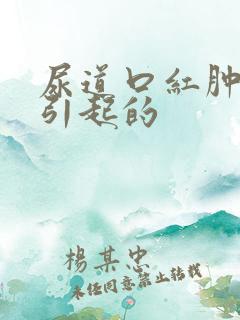 尿道口红肿怎么引起的