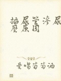 插尿管渗尿是什么原因