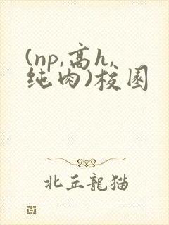 (np,高h,纯肉)校园