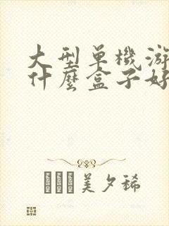 大型单机游戏用什么盒子好