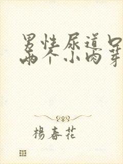 男性尿道口长了两个小肉芽