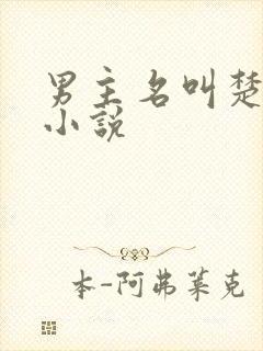 男主名叫楚玄的小说