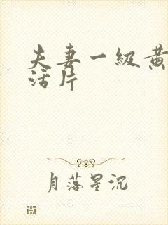 夫妻一级黄色生活片