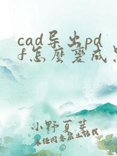 cad导出pdf怎么变成黑白