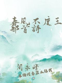 春风不度玉门关那首诗