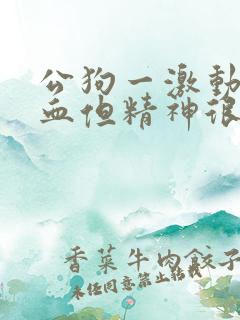 公狗一激动就尿血但精神很好