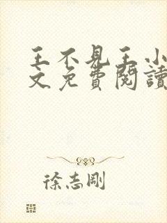 王不见王小说全文免费阅读