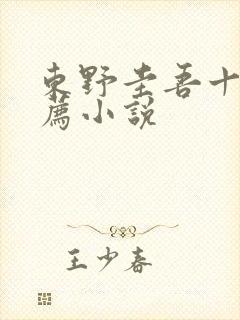 东野圭吾十大推荐小说