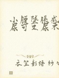 小腹坠胀感觉想尿可又尿不多是什么原因男性