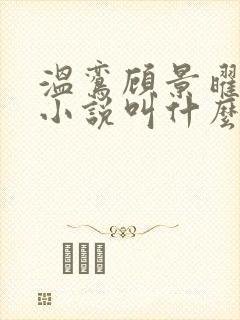 温鸾顾景曜原著小说叫什么名字