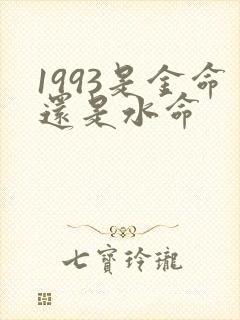 1993是金命还是水命