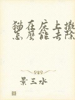 猫在床上撒尿,怎么能去除猫尿味