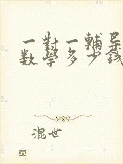 一对一辅导初中数学多少钱