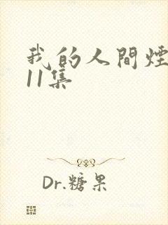 我的人间烟火第11集