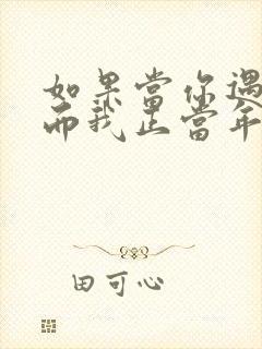 如果当你遇见我而我正当年轻什么歌