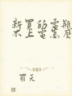 新买的电瓶车充不上电怎么回事