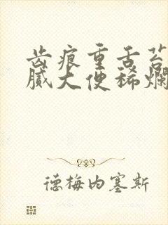 齿痕重舌苔黄薄腻大便稀烂