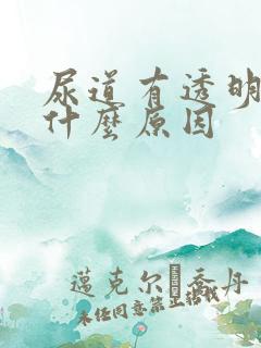 尿道有透明液体什么原因