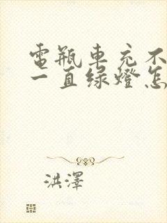 电瓶车充不进电一直绿灯怎么回事