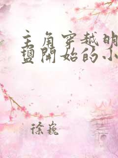 主角穿越明朝卖盐开始的小说