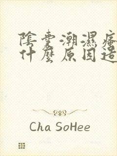 阴囊潮湿瘙痒是什么原因造成的?