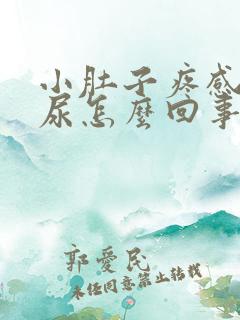 小肚子疼感觉有尿怎么回事