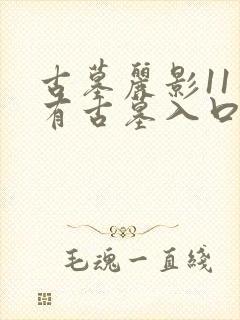 古墓丽影11所有古墓入口