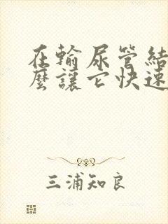 在输尿管结石怎么让它快速排出来