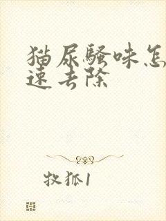 猫尿骚味怎么快速去除