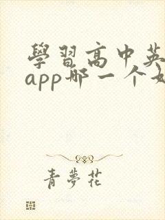 学习高中英语的app哪一个好