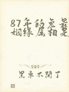 87年的兔最佳姻缘属相是什么