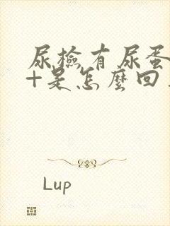 尿检有尿蛋白1+是怎么回事