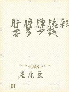 肝胆脾胰彩超需要多少钱