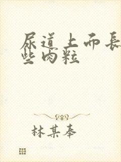 尿道上面长了一些肉粒