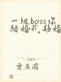 一级boss你结婚我劫婚全文免费阅读