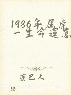 1986年属虎一生命运怎么样