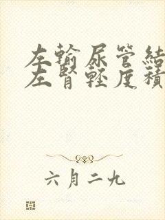 左输尿管结石伴左肾轻度积水