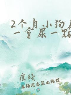 2个月小狗尿频一会尿一点