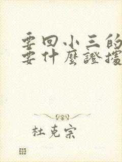 要回小三的钱都要什么证据