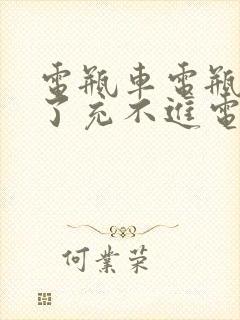 电瓶车电瓶放久了充不进电怎么办