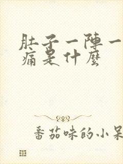 肚子一阵一阵的痛是什么