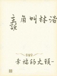 主角叫林浩的小说