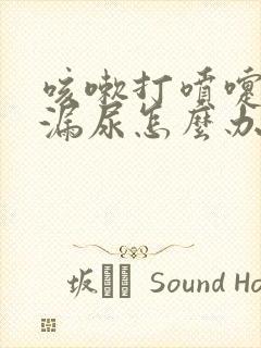 咳嗽打喷嚏都会漏尿怎么办