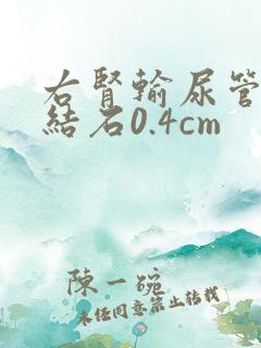 右肾输尿管下段结石0.4cm