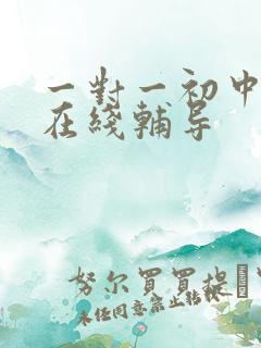 一对一初中物理在线辅导