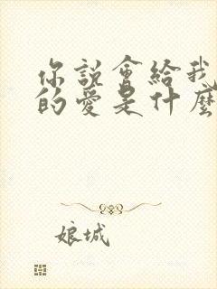 你说会给我永远的爱是什么歌