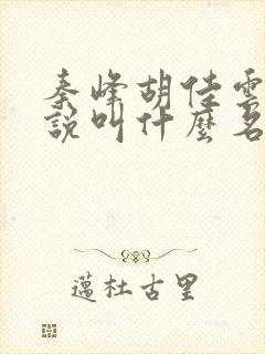 秦峰胡佳云的小说叫什么名字