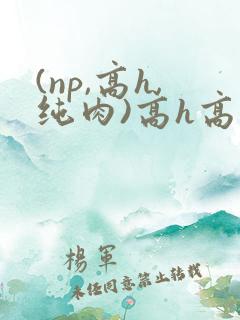(np,高h,纯肉)高h高辣文